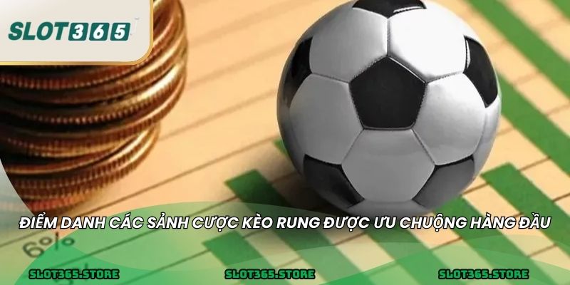 Điểm danh các sảnh cược kèo rung được ưu chuộng hàng đầu